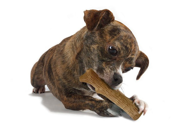 Petstages durable stick outlet