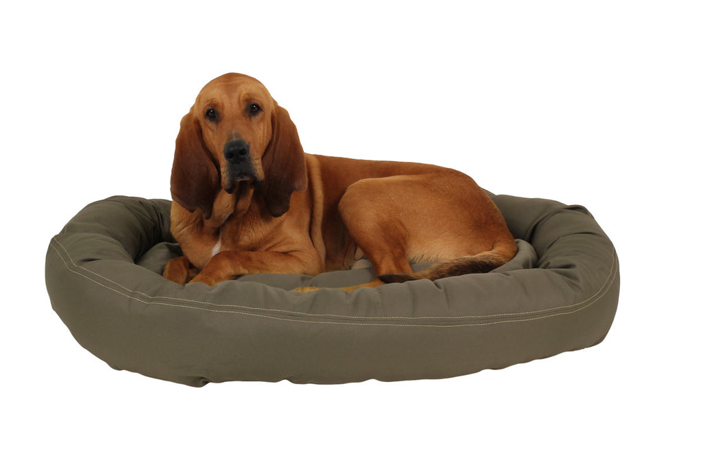 Brutus Tuff Comfy Cup