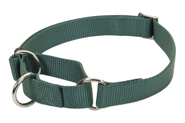 NO Slip Martingale Collar Indestructible Dog