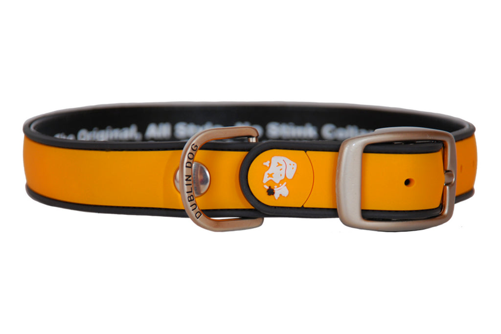Simply Solid Orange Collar