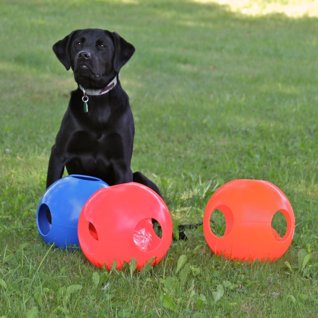 Paw-zzle Ball