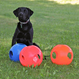 Paw-zzle Ball
