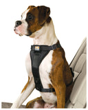 Tru-Fit Enhanced Strength Smart Harness