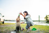 Mud Dog Shower