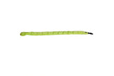 Invincible Snake Ginormous