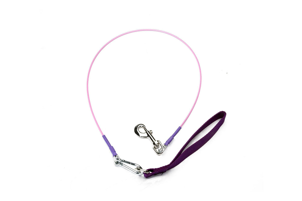 Indestructible Dog Leash 4 Ft.