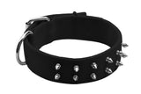 Macho Dog Spike Double-Ply Collar