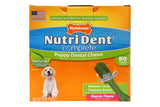 Nutri Dent Complete Puppy Bacon Dental Chew - Small