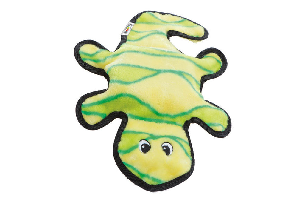 Invincibles Gecko