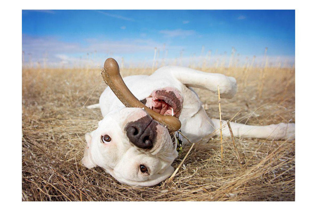 Flavorit BarkBone Mesquite Chicken