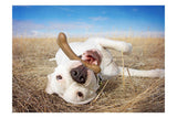 Flavorit BarkBone Mesquite Chicken