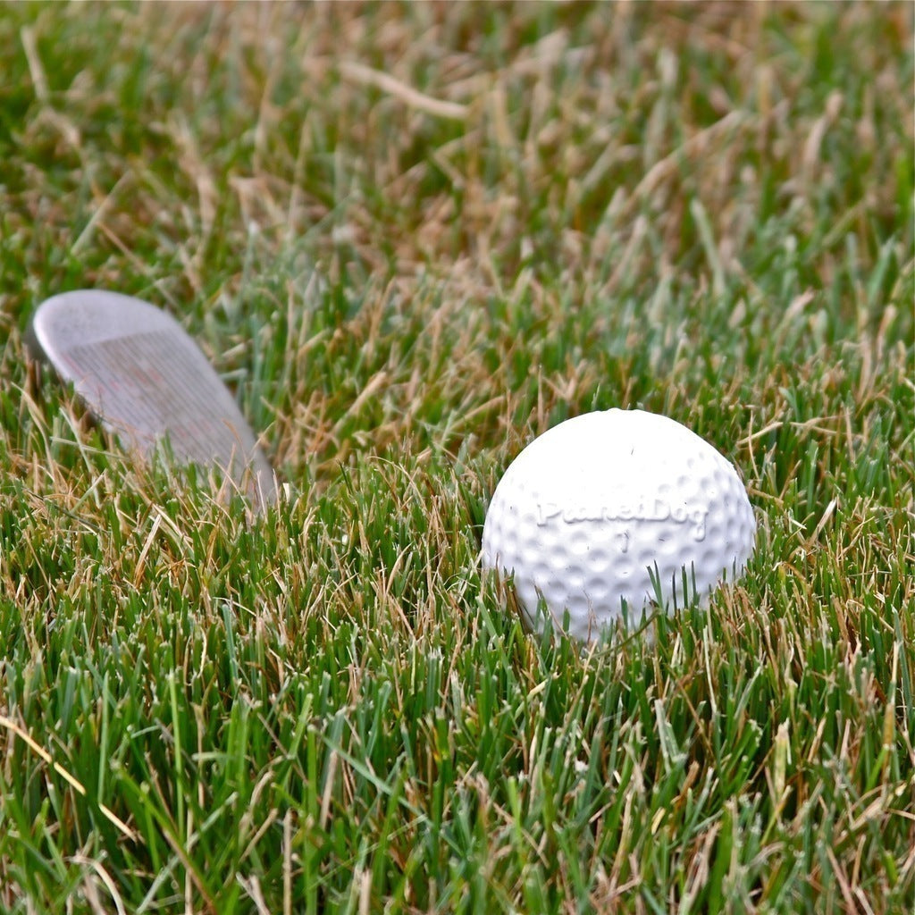 Orbee Sport Golf Ball