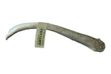 Deer Antlers 8-9"