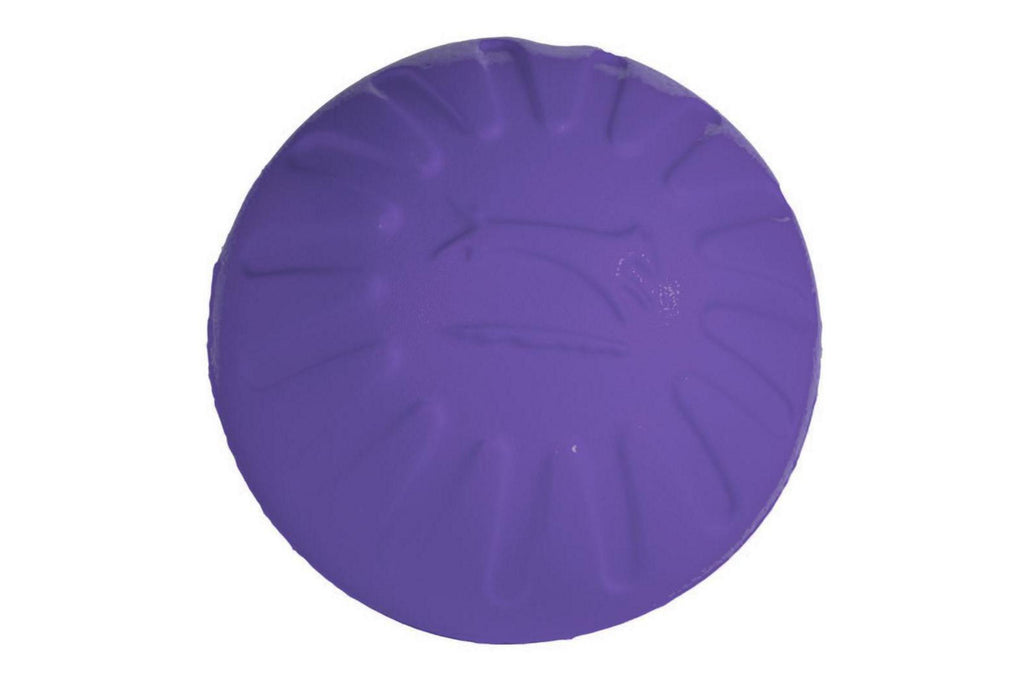 Starmark-Durafoam Ball-Indoor & Outdoor ball that floats and flies.
