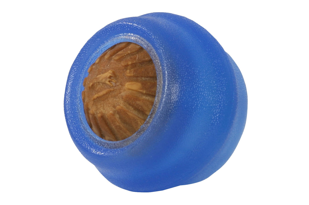 Everlasting Treat Ball