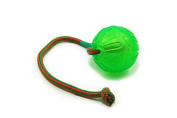 Swing n Fling Ball Indestructible Dog