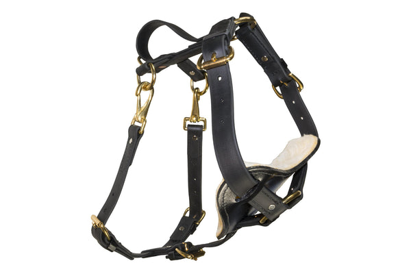 Indestructible harnesses for dogs deals