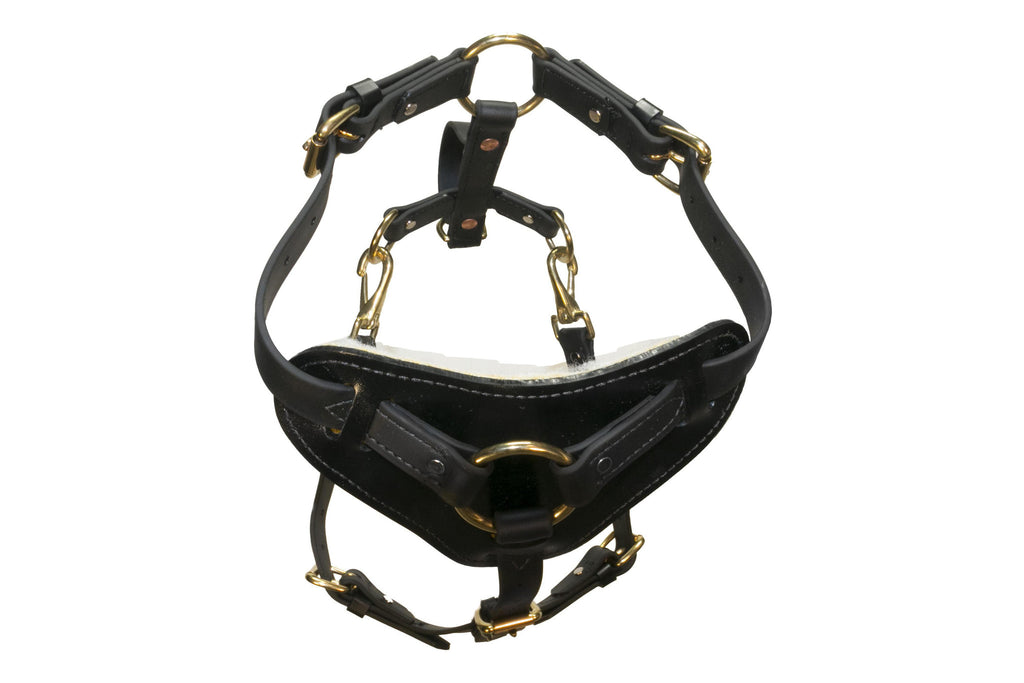 Surge Biothane Working Dog Harness