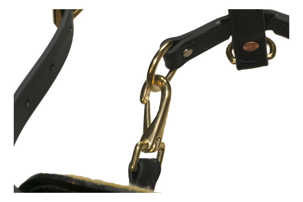 Surge Biothane Working Dog Harness