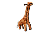 Zoo Giraffe