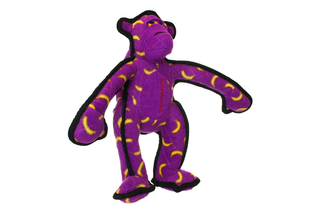 Zoo Monkey