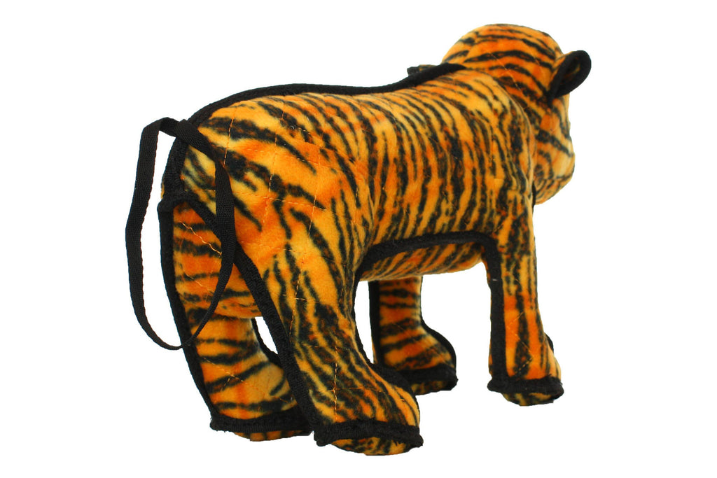 Zoo Tiger