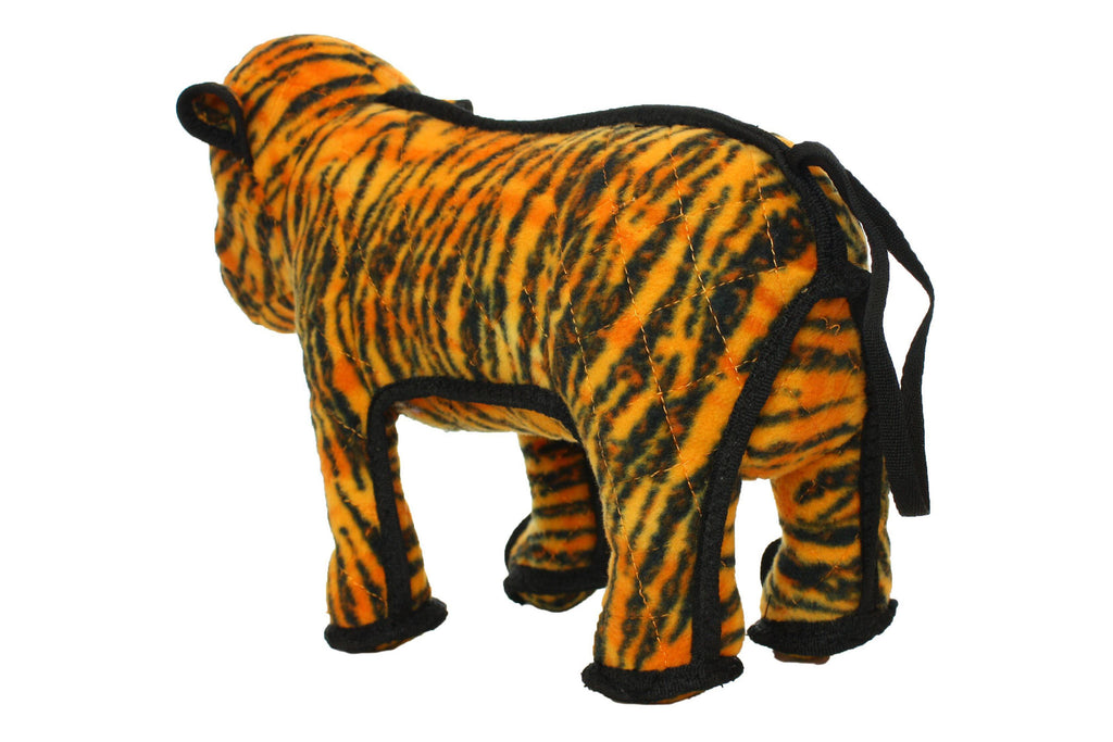 Zoo Tiger