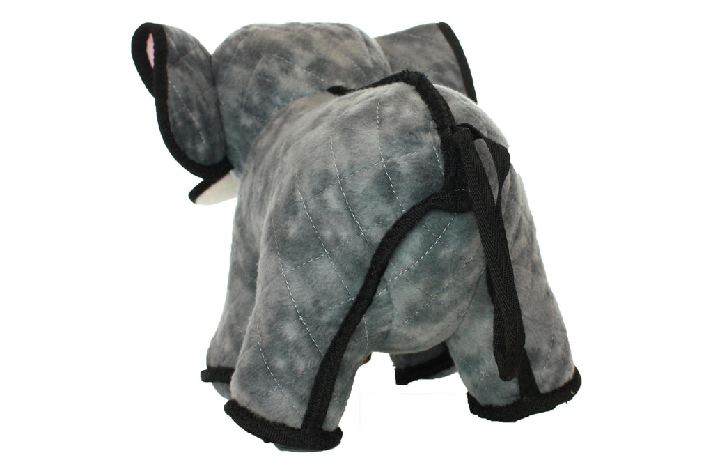 Zoo Elephant