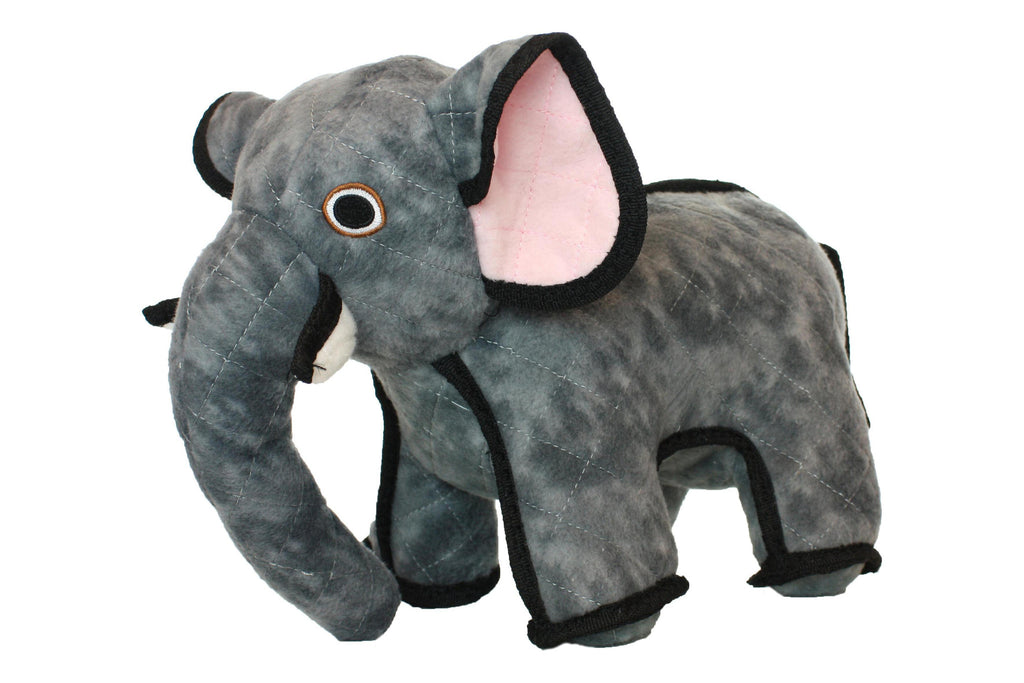 Zoo Elephant