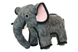 Zoo Elephant