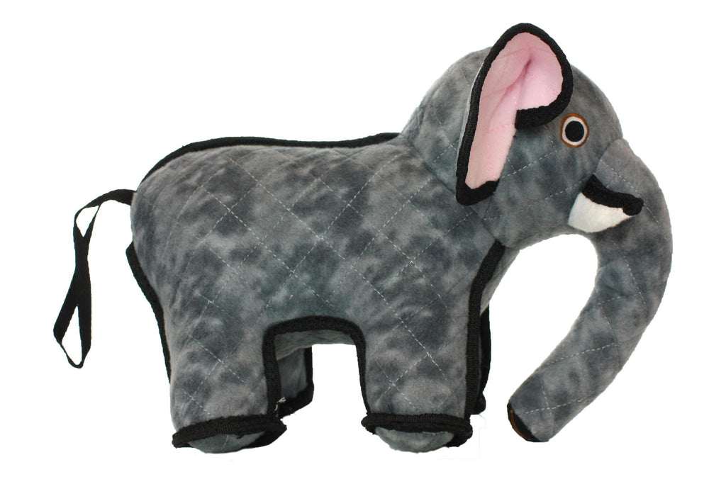 Zoo Elephant