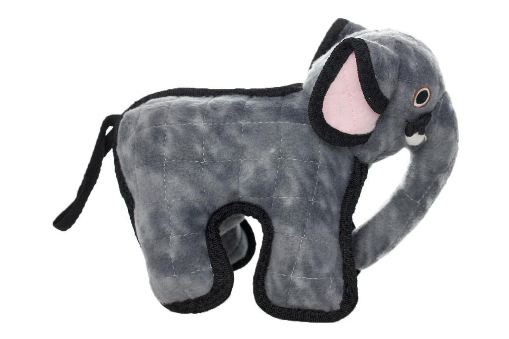Zoo Elephant