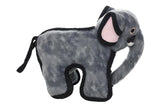 Zoo Elephant