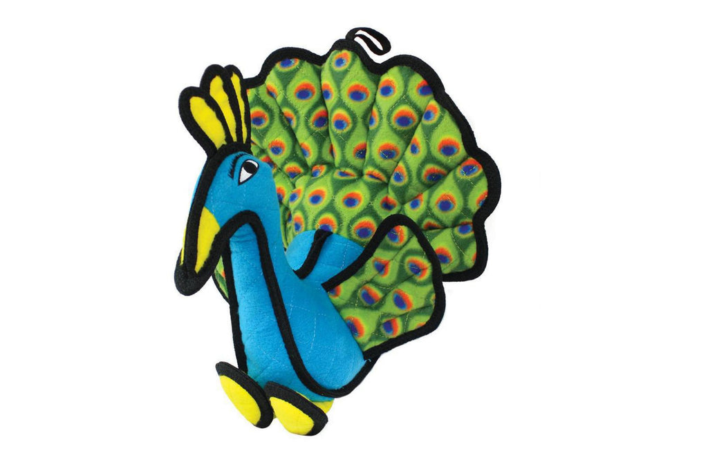 Zoo Peacock