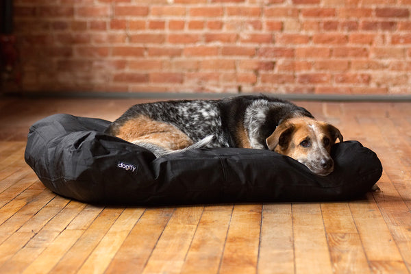 Indestructible dog bed cover sale