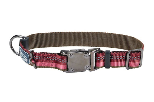 Explorer dog collar sales