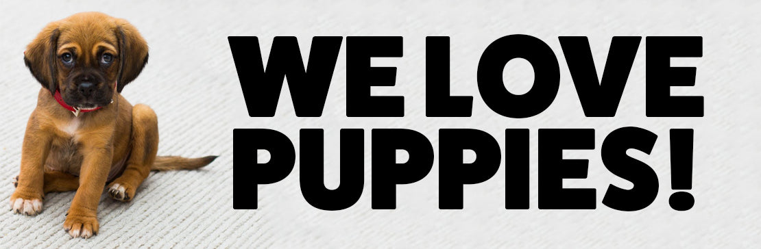 Puppy Guide