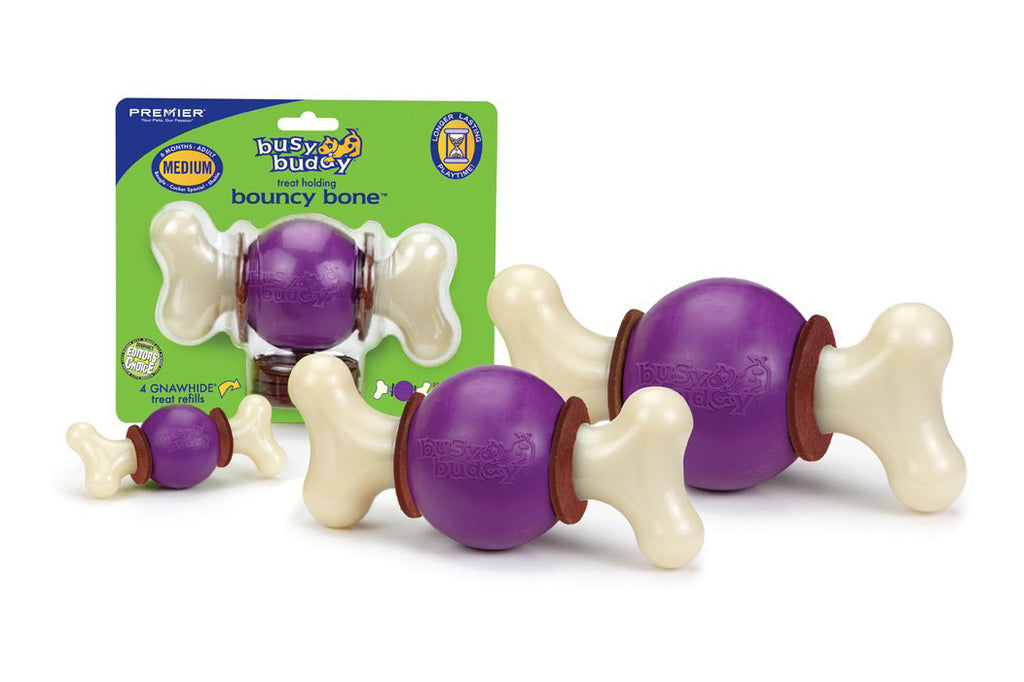 Busy Buddy Bristle Bone Dental Dog Toy - Northwest Pets