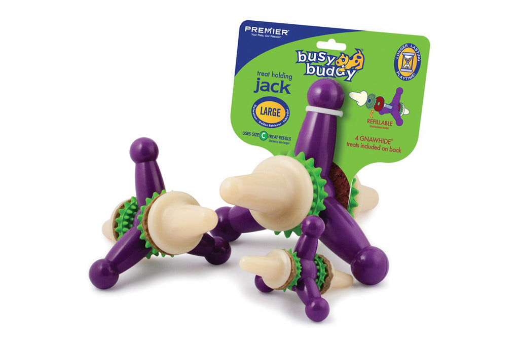 Jack Indestructible Dog
