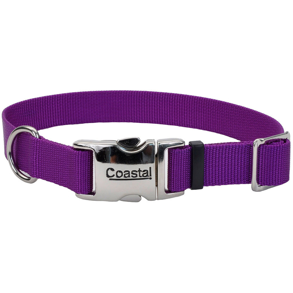 Titan Metal Buckle Collar