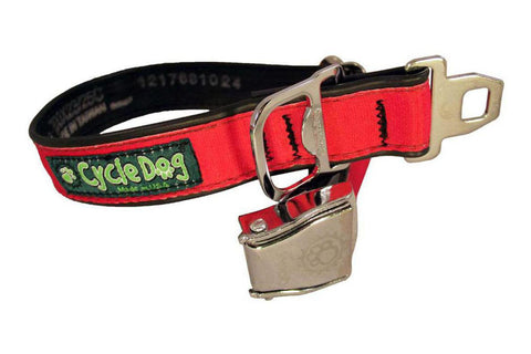 Pup Top Collar - Red