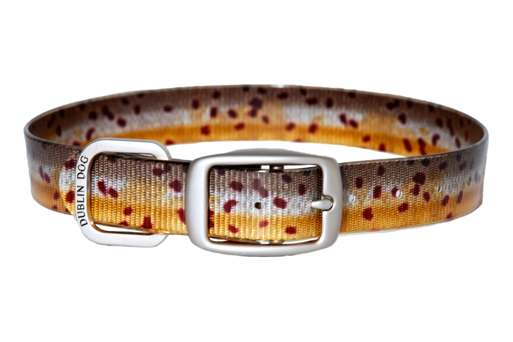 Brown Trout KOA Collar