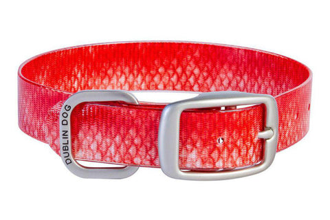 Red Snapper KOA Collar