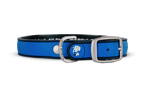 Simply Solid Blue Ribbon Collar