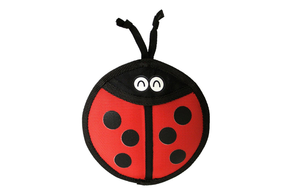 Firehose Flyers Ladybug