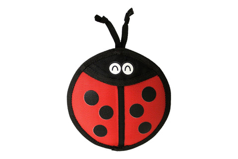 Firehose Flyers Ladybug