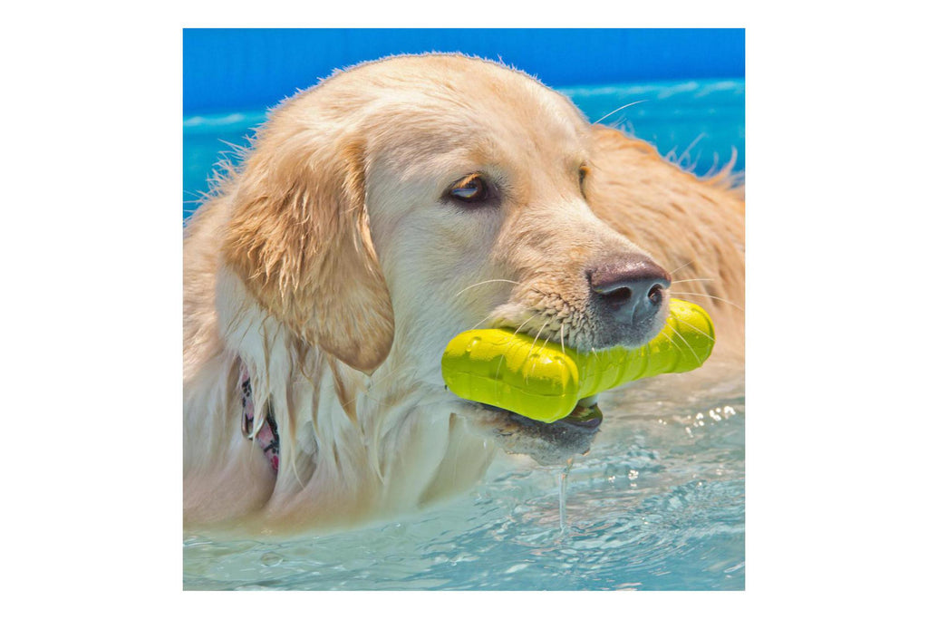 Hyper chewz ball discount