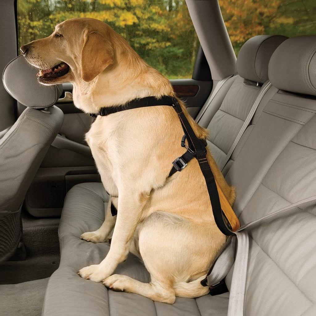 Kurgo Tru-Fit Enhanced Strength Smart Harness Can Be Attached to the car seat- side view