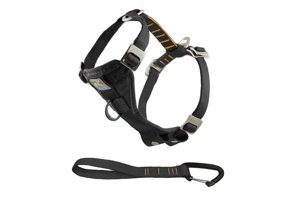 Kurgo Tru-Fit Enhanced Strength Smart Dog Harness and 10" lead  