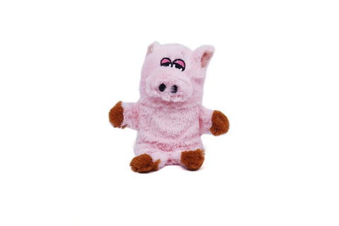 Invincible Mini Pig